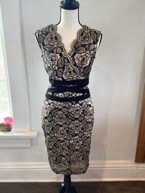 Gold & Black Lace Floral Sheath Dress